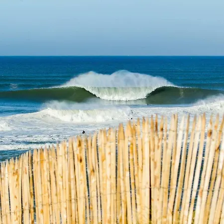 Hossegor La Vigie Entre Et Ocean 公寓 索尔特奥瑟戈尔