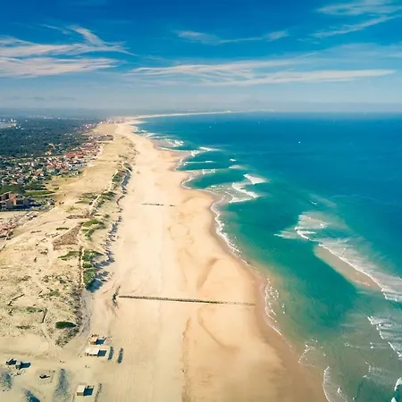 Hossegor La Vigie Entre Et Ocean *